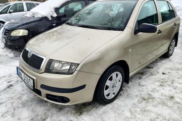 W pełni sprawna Polski salon